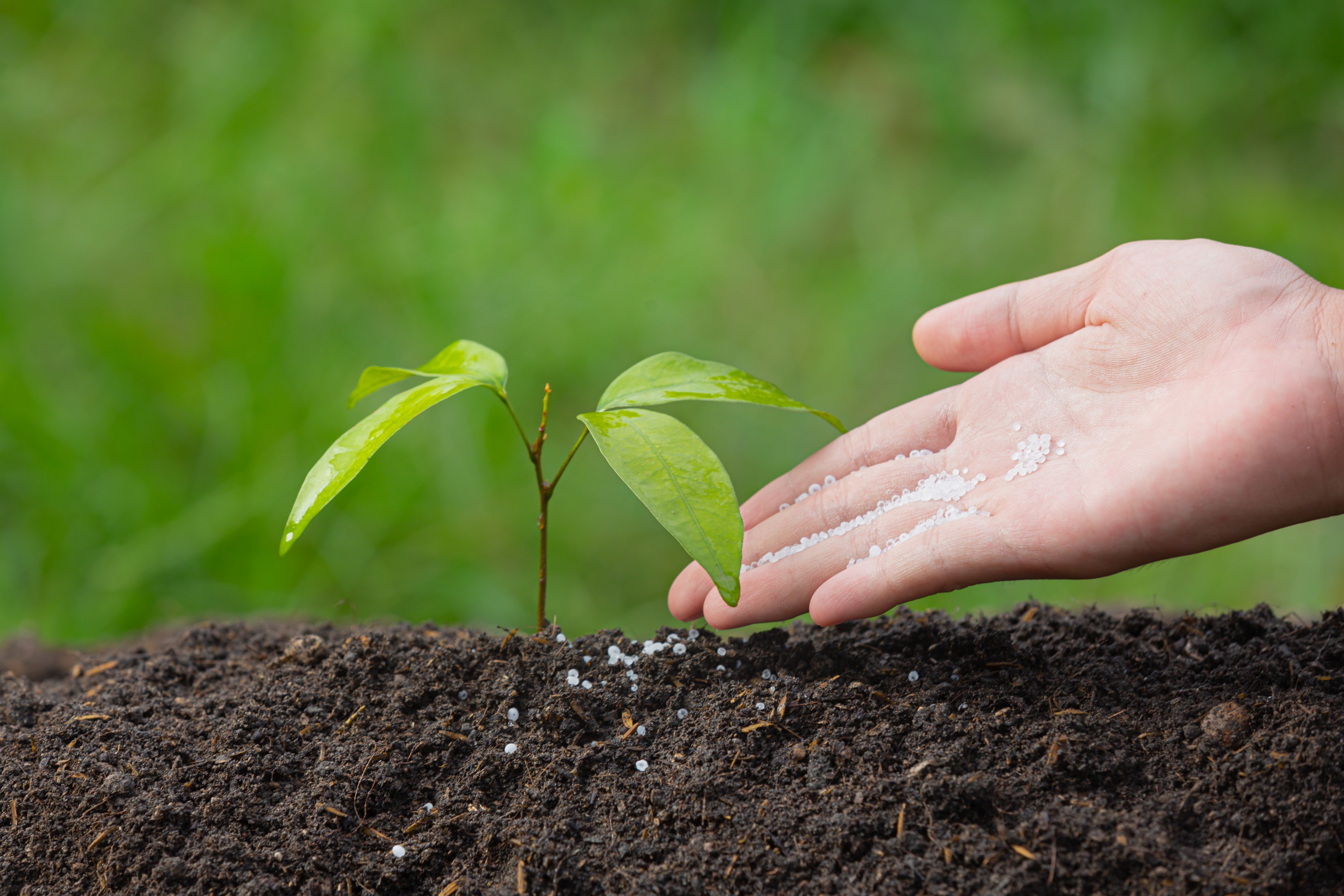 Sustainable growth